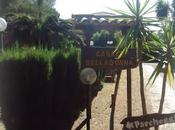 Corso Arte della decorazione Patina...