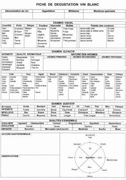 scheda di degustazione