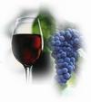 vino