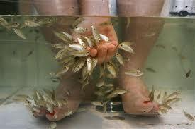 Fisher Pedicure...