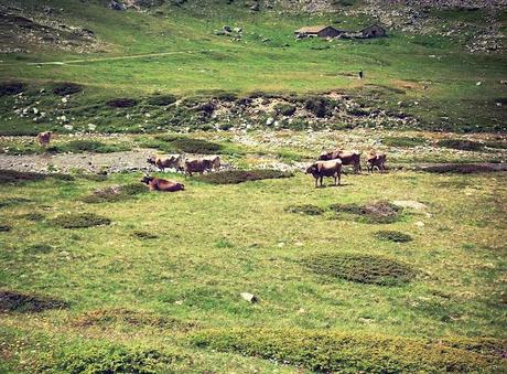 La Montagna d'estate. No, non l'avevo considerata - Parte I