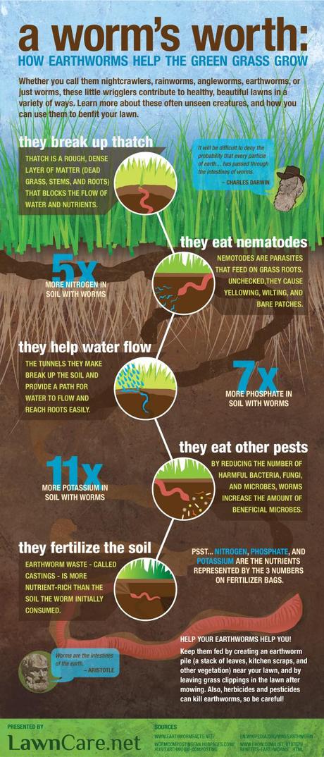 RMI Infographic