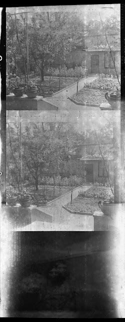 Pellicole Ritrovate - Ilford FP4 in una Rolleiflex