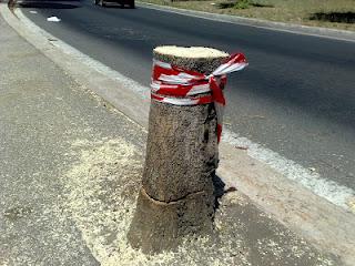 Mercoledi in piazza per fermare i barbari