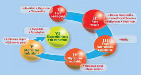 Antinfiammatori di ultima generazione