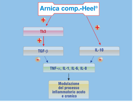 Antinfiammatori di ultima generazione