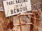 Benouè National Park