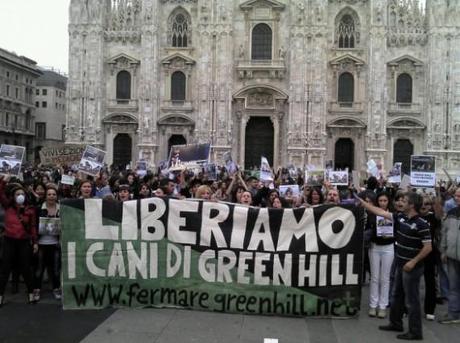 Green Hill: arrivano i sigilli del Corpo Forestale dello Stato