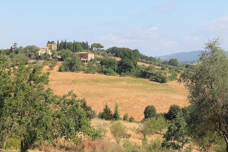 VIAGGI / SIENA