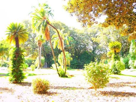 Palermo magica - Villa Malfitano