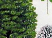 Contare alberi