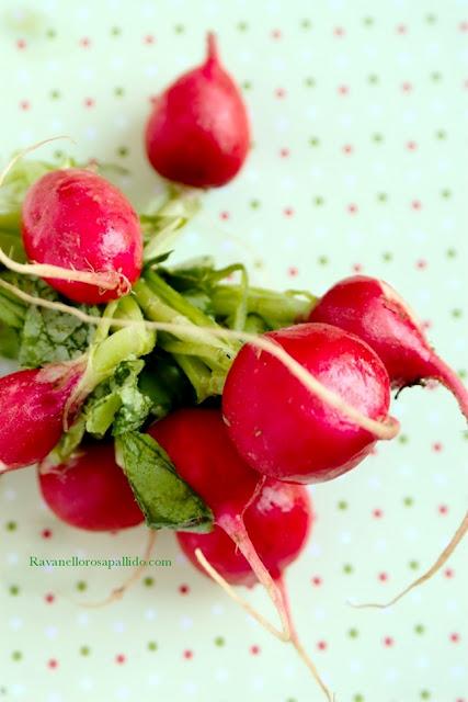 Zuppa estiva con foglie di Ravanello - Love for green food