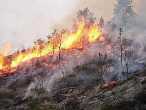 Fiamme alla periferia di Olbia Brucia ancora San Teodoro