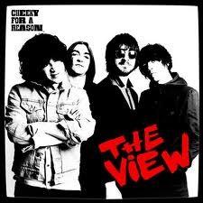 musica,video,testi,traduzioni,the view,testi the view,traduzioni the view,video the view