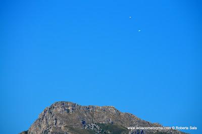 Toraggio, parapendii e poiane.