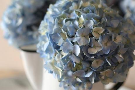 shabby-chic ortensie blu fiori