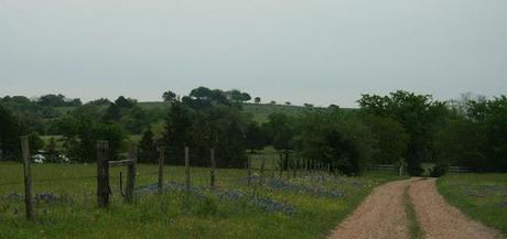 Appuntamento al ranch: Cedar Hill Ranch...