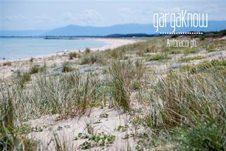 Le dune...preziosissime testimonianza della vita su GAIA