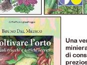 piantina rafano recuperare l’orto