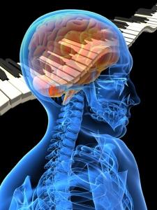 Un pianoforte nel nostro cervello: la teoria del cervello olonomico (II parte) – di Silvia Salese