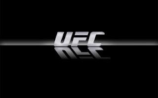 EA Canada si occuperà del nuovo UFC