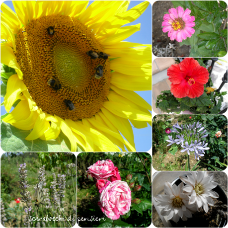 click d'estate 2012 #1