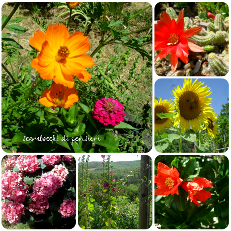 click d'estate 2012 #1