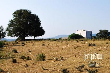 Fotogallery dal Gargano: Carpino e Vico del Gargano