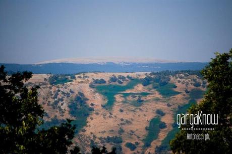 Fotogallery dal Gargano: Carpino e Vico del Gargano