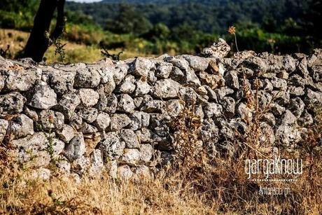 Fotogallery dal Gargano: Carpino e Vico del Gargano