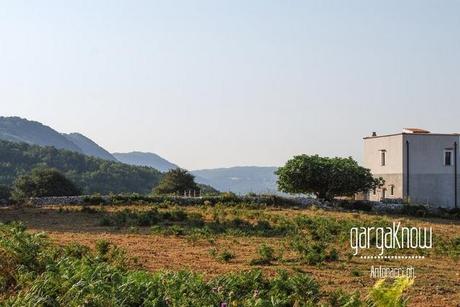 Fotogallery dal Gargano: Carpino e Vico del Gargano