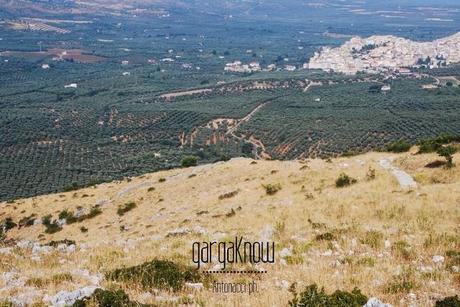 Fotogallery dal Gargano: Carpino e Vico del Gargano