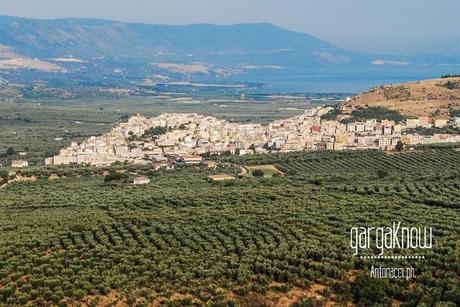 Fotogallery dal Gargano: Carpino e Vico del Gargano