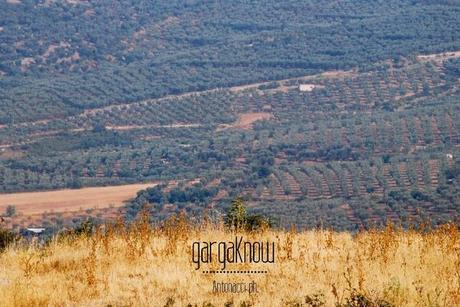 Fotogallery dal Gargano: Carpino e Vico del Gargano