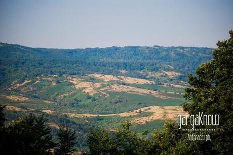 Fotogallery dal Gargano: Carpino e Vico del Gargano