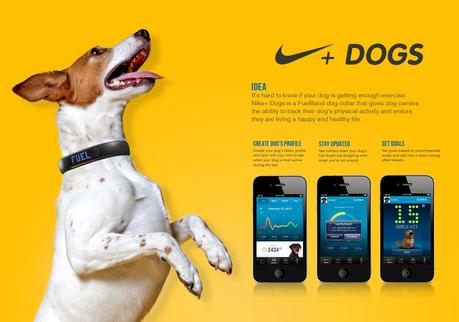 web-nike-fuelband-dog-collar