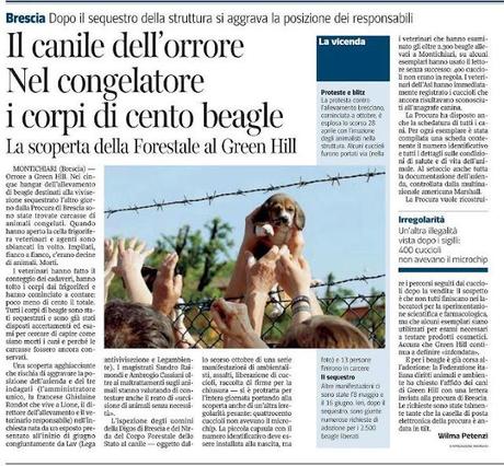 Green Hill sotto sequestro e cani nel congelatore.