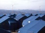 Presunto pedofilo bagno delle tendopoli