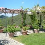 pergola o gazebo con rampicanti misti