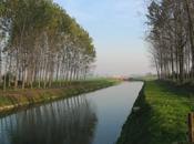 Mantova, cadavere canale della Versalis, Polimeri Europa