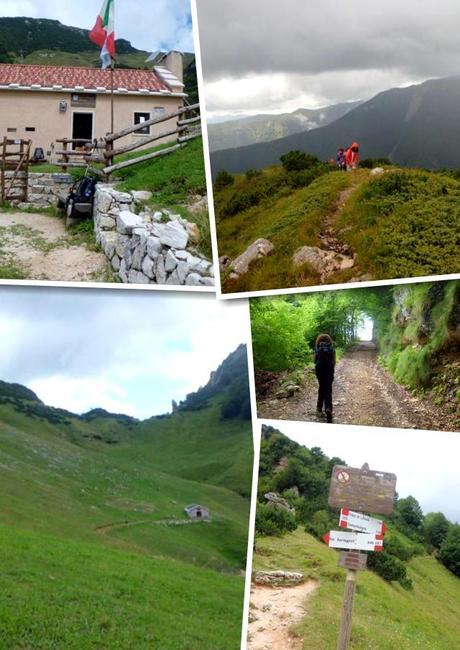 Trekking in Lessinia del 22/7 ovvero...pioggia e stelle alpine