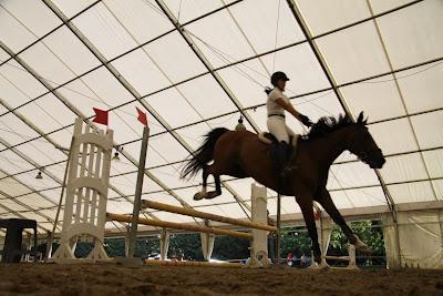 gara di salto ostacoli con Troy