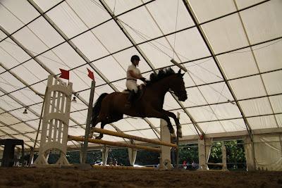 gara di salto ostacoli con Troy