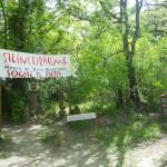 Deva Manfred Il Bosco di Pietra ocho miasto