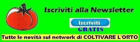 AGOSTO NELL’ORTO. TUTTE LE SEMINE NELL'ORTO DI AGOSTO