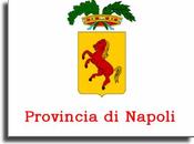Lettera aperta Luigi Cesaro (Presidente Provincia Napoli)