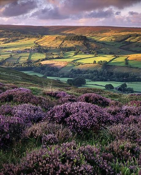 Yorkshire, Inghilterra