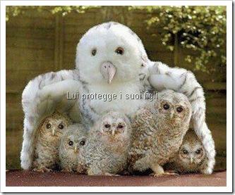 Lui proteggi i suoi figli, la finanza e Monti li massacra.