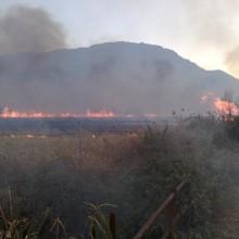 Genova Altro incendio nei boschi di Sessarego A12 rischio visibilità