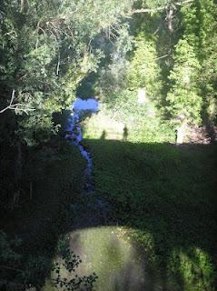 L'acqua odorosa di San Giovanni (in ritardo)